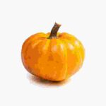 Yellow Pumpkin