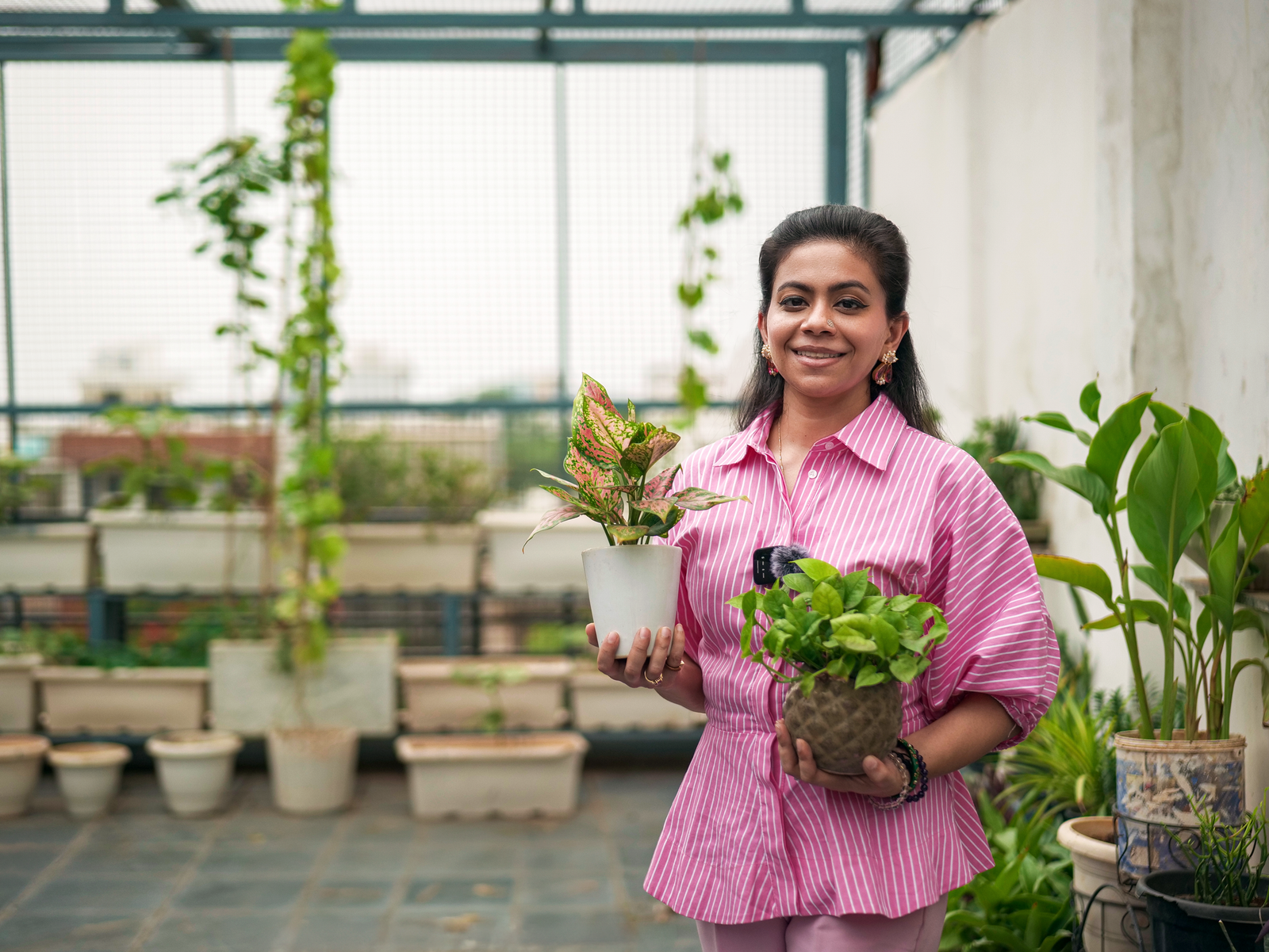 Build your garden at your home, Vanam will help you