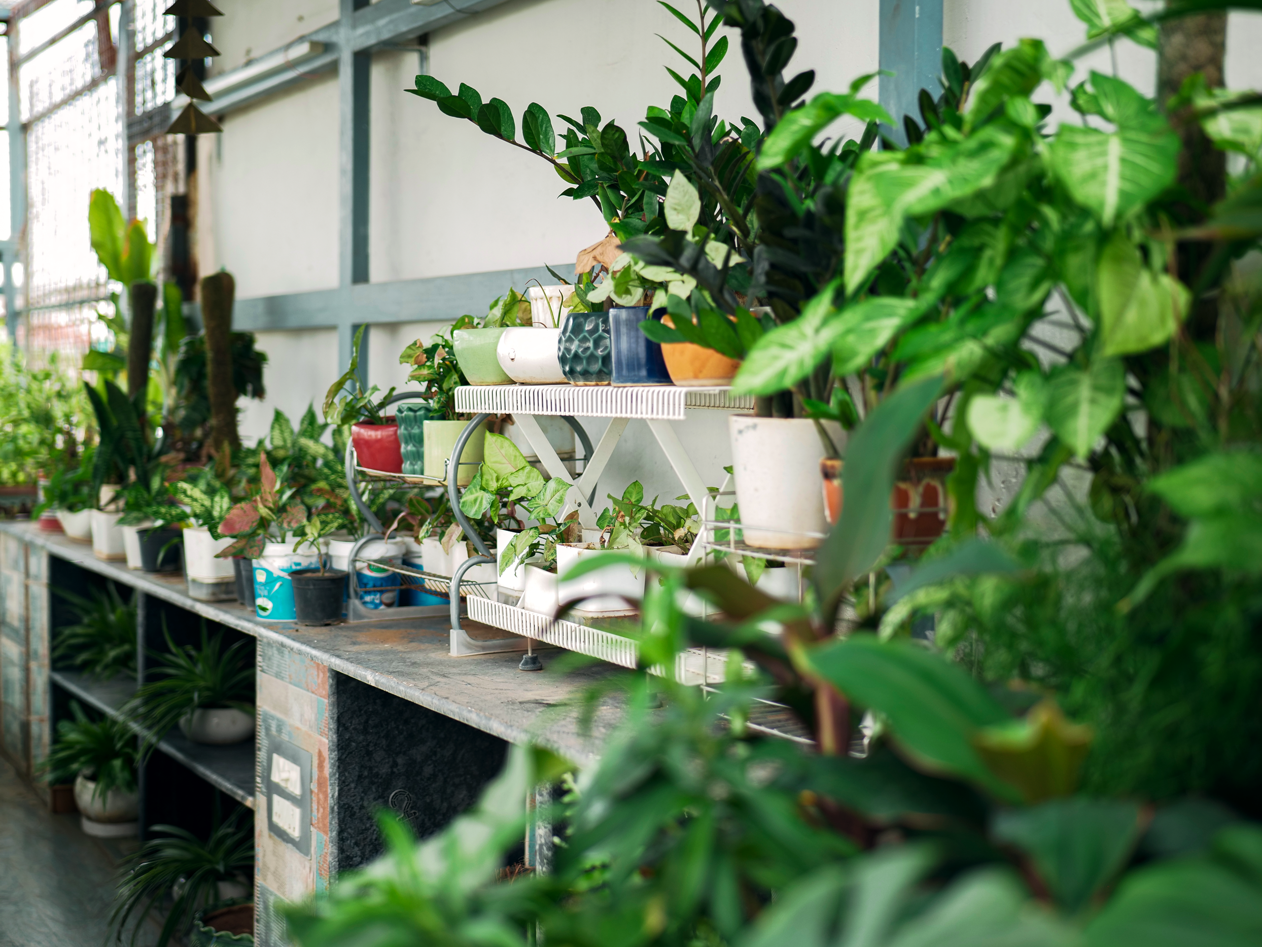 Learn gardening from Vanam