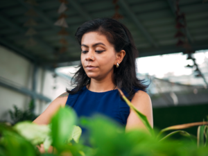 Learn gardening from Vanam house of plants courses
